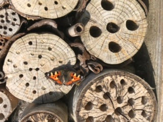 Bee hotel in Harrogate