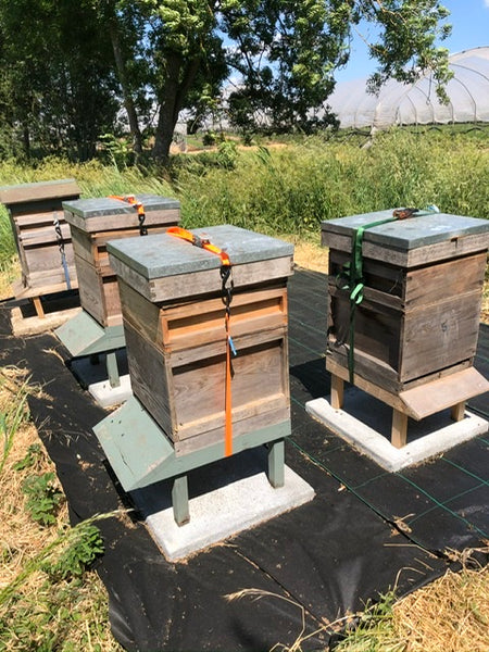 It’s a ‘super’ day